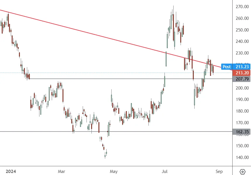 TSLA-–-Daily-Chart